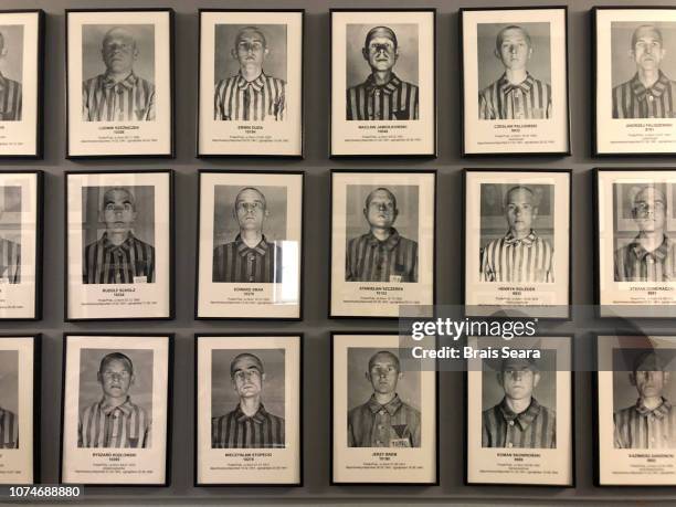 auschwitz - victim stock pictures, royalty-free photos & images