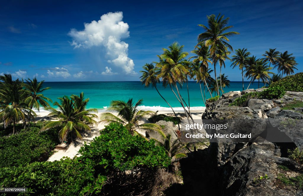 Bottom Bay, Barbados
