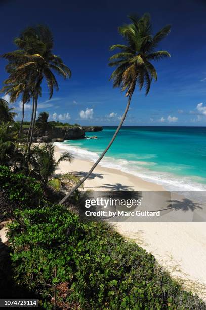 bottom bay, barbados - barbados stock-fotos und bilder