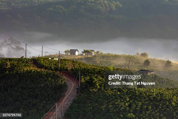 vietnamese village on the mountain - haka bildbanksfoton och bilder