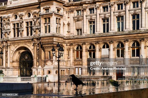 hotel de ville, paris, france - rathaus von paris stock-fotos und bilder