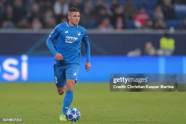 Pavel Kaderabek of TSG 1899 Hoffenheim in action during the Group F match of the UEFA Champions League between TSG 1899 Hoffenheim and FC Shakhtar...