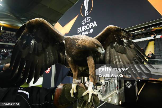 Attila the Eintracht Frankfurt mascot is seen pitchside prior to the UEFA Europa League Group H match between Eintracht Frankfurt and Olympique de...