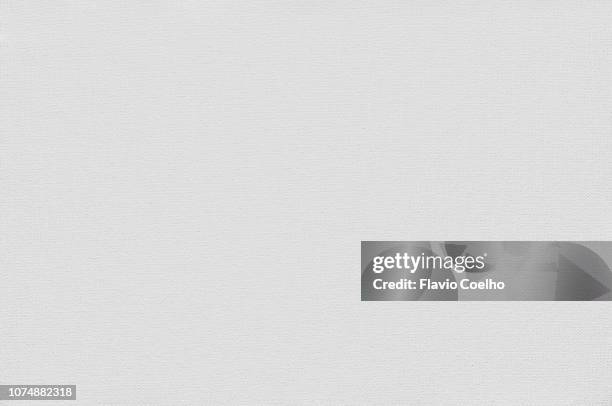 blank canvas surface texture - feuille de papier photos et images de collection