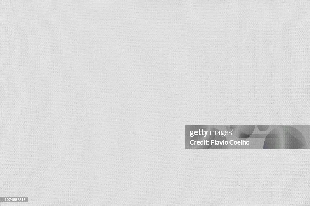 Blank canvas surface texture