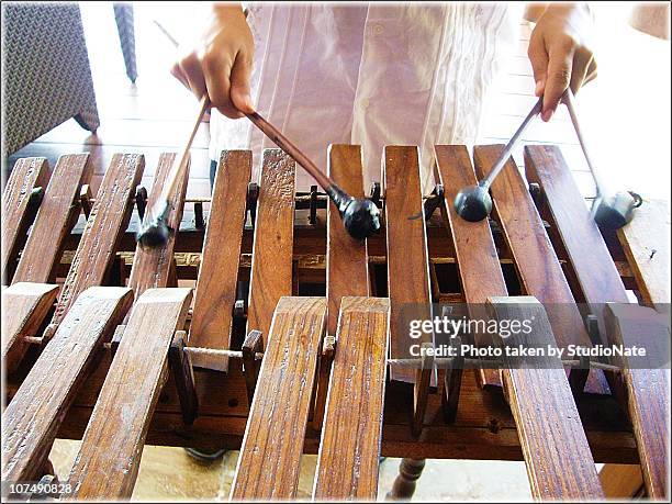 marimba player... - marimba stock-fotos und bilder