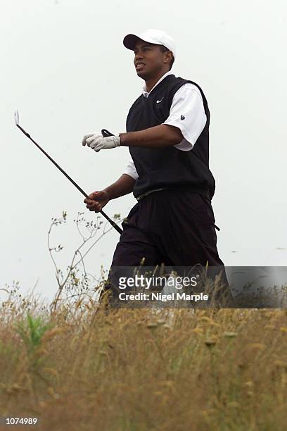 World No.1 Tiger Woods walks after his second shot played from the deep rough at the par 4 13th hole during the third round of the New Zealand Open...