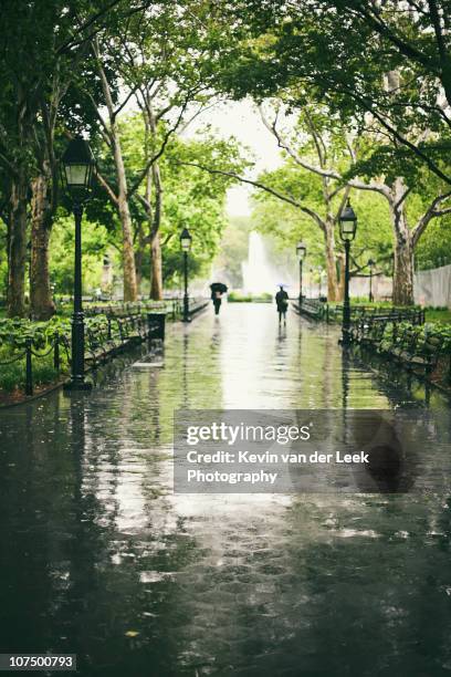 the green in greenwich - washington square park stock pictures, royalty-free photos & images