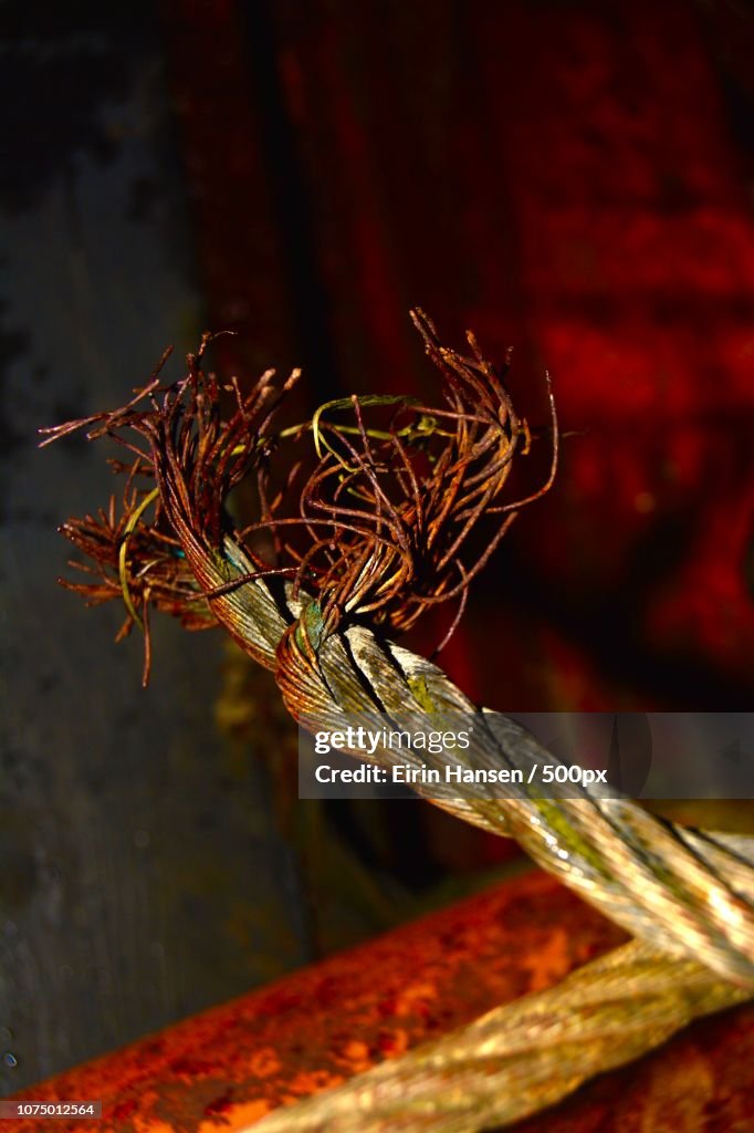 Rusty flower