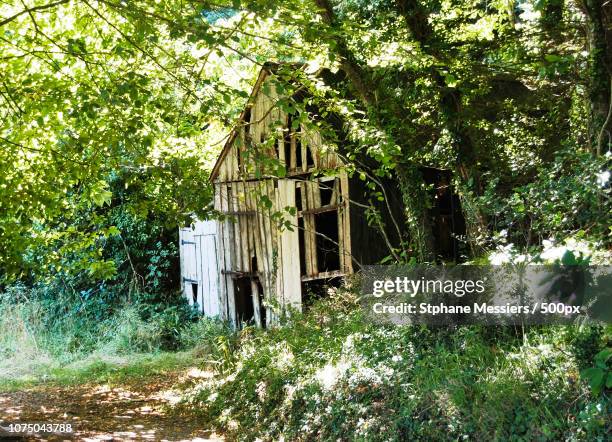 cabane belon - cabane arbre stock pictures, royalty-free photos & images