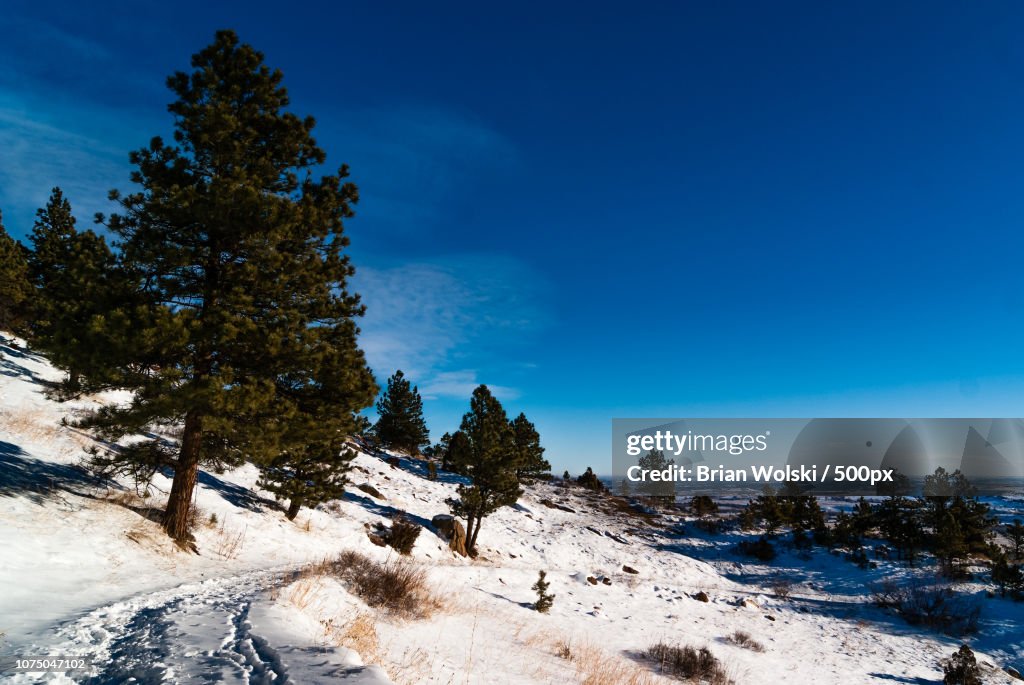 Hiking Above Boulder