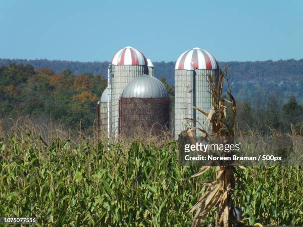 new jersey farm silos - noreen braman stock pictures, royalty-free photos & images