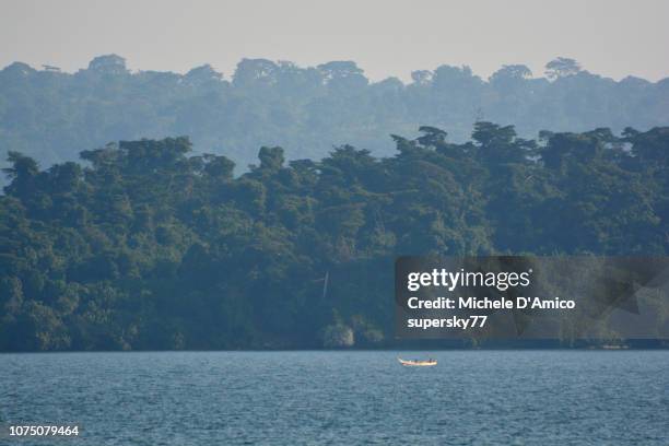 the forested shores of lake victoria on kalangala island - lake victoria stock pictures, royalty-free photos & images