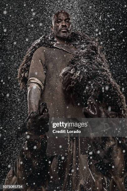 viking inspired black warrior in a blizzard - guard dog stock pictures, royalty-free photos & images