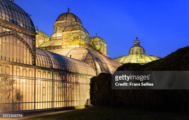 royal greenhouses in laeken (brussels), belgium - laken brussel stockfoto's en -beelden