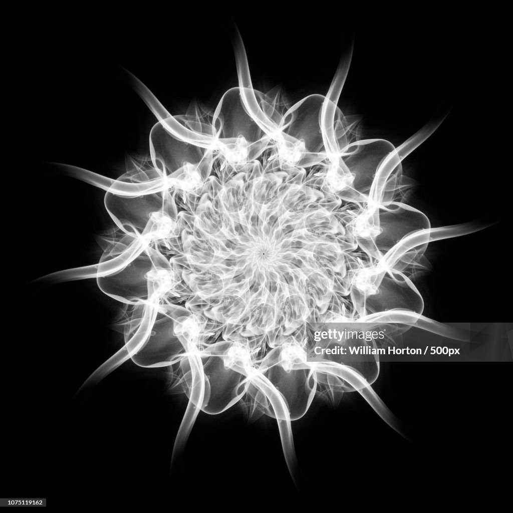 Mandala in Black and White 3