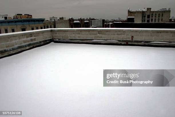snow on rooftop in brooklyn, new york city - rooftop new york photos et images de collection