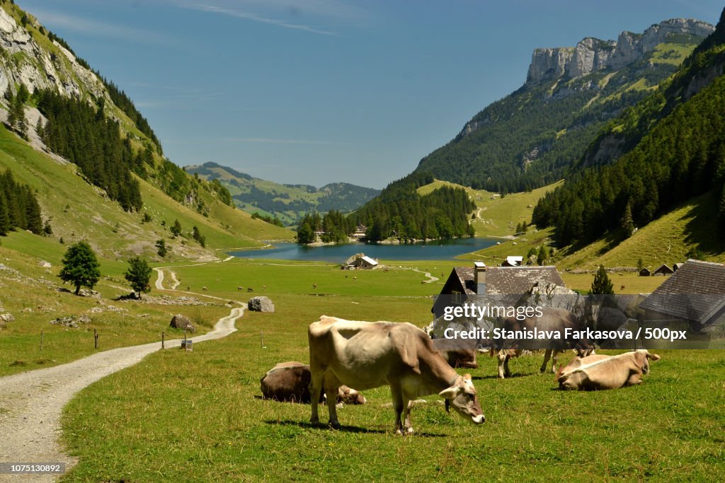 Appenzell