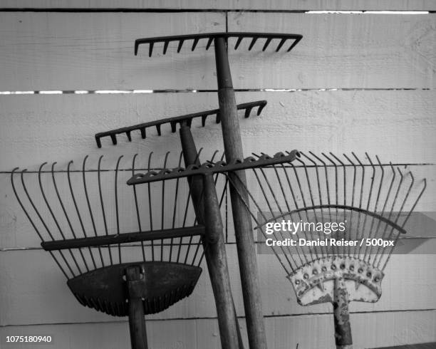 Reiser Rake 46 Daniel Reiser Stock Photos, High-Res Pictures, and Images - Getty Images