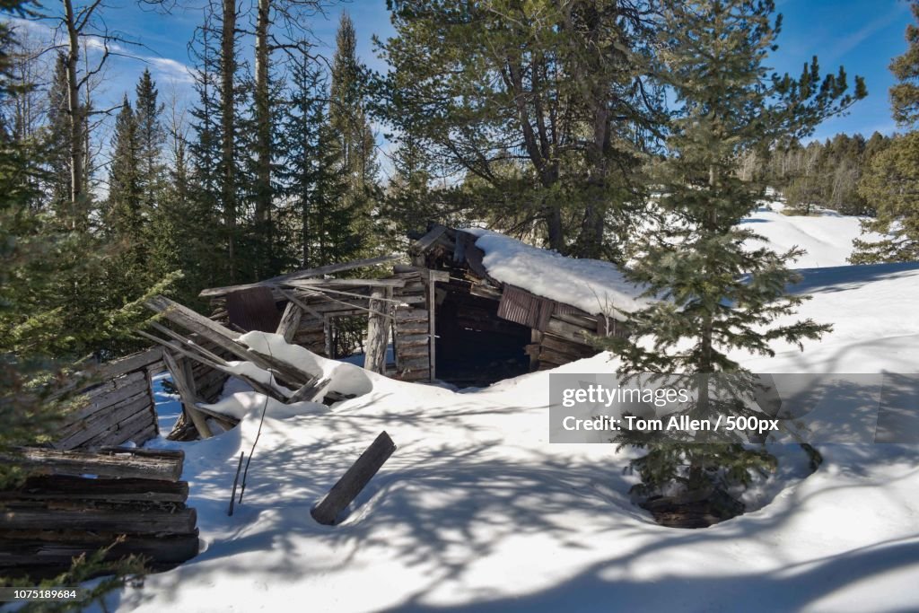 Osborn Homestead Cabin