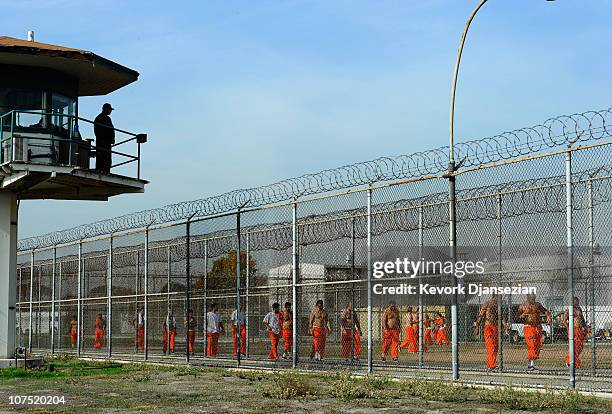 California Department of Corrections officer looks on as inmates at Chino State Prison exercise in the yard December 10, 2010 in Chino, California....