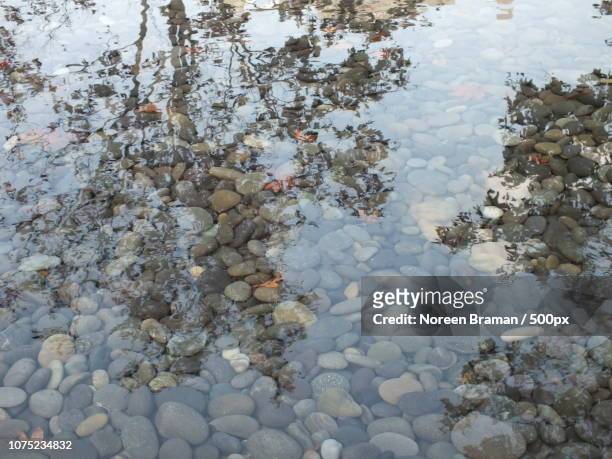 pebbled reflections - noreen braman stock pictures, royalty-free photos & images