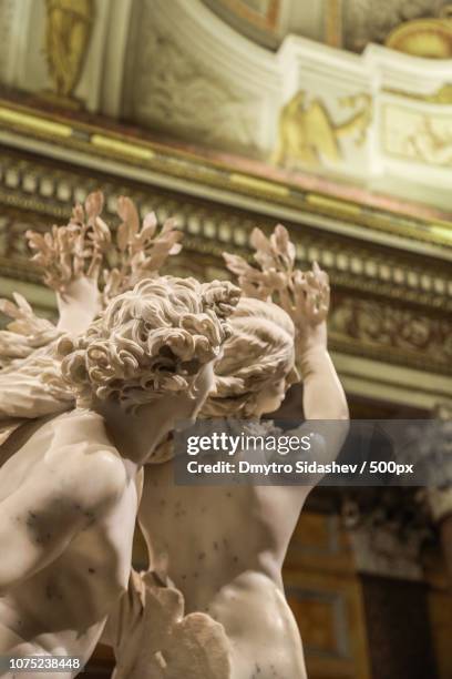 daphne and apollo bernini sculpture - apollon bildbanksfoton och bilder