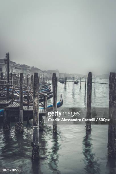 venice - alessandro castelli stock pictures, royalty-free photos & images
