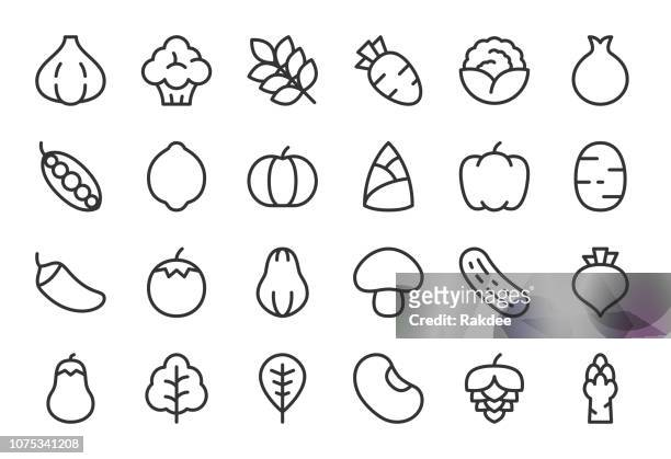 gemüse-symbole - light line serie - papaya stock-grafiken, -clipart, -cartoons und -symbole