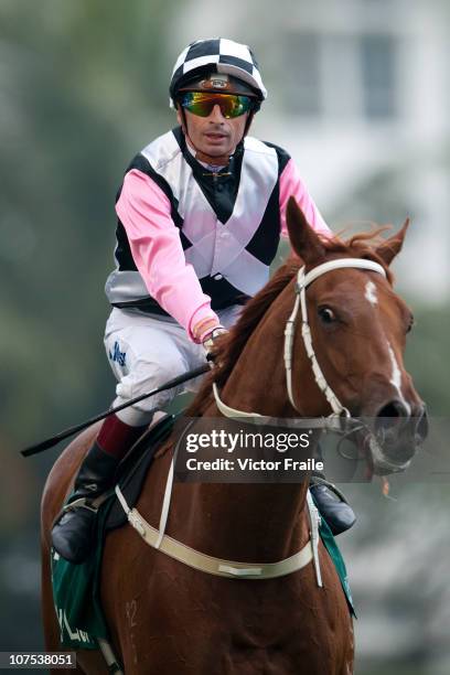 French jockey Gerald Mosse riding Hong Kong's Beauty Flash wins the Hong Kong Mile during the Cathay Pacific International Races at the Sha Tin...