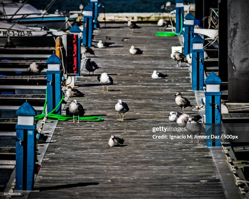 Punta Umbría, Spain