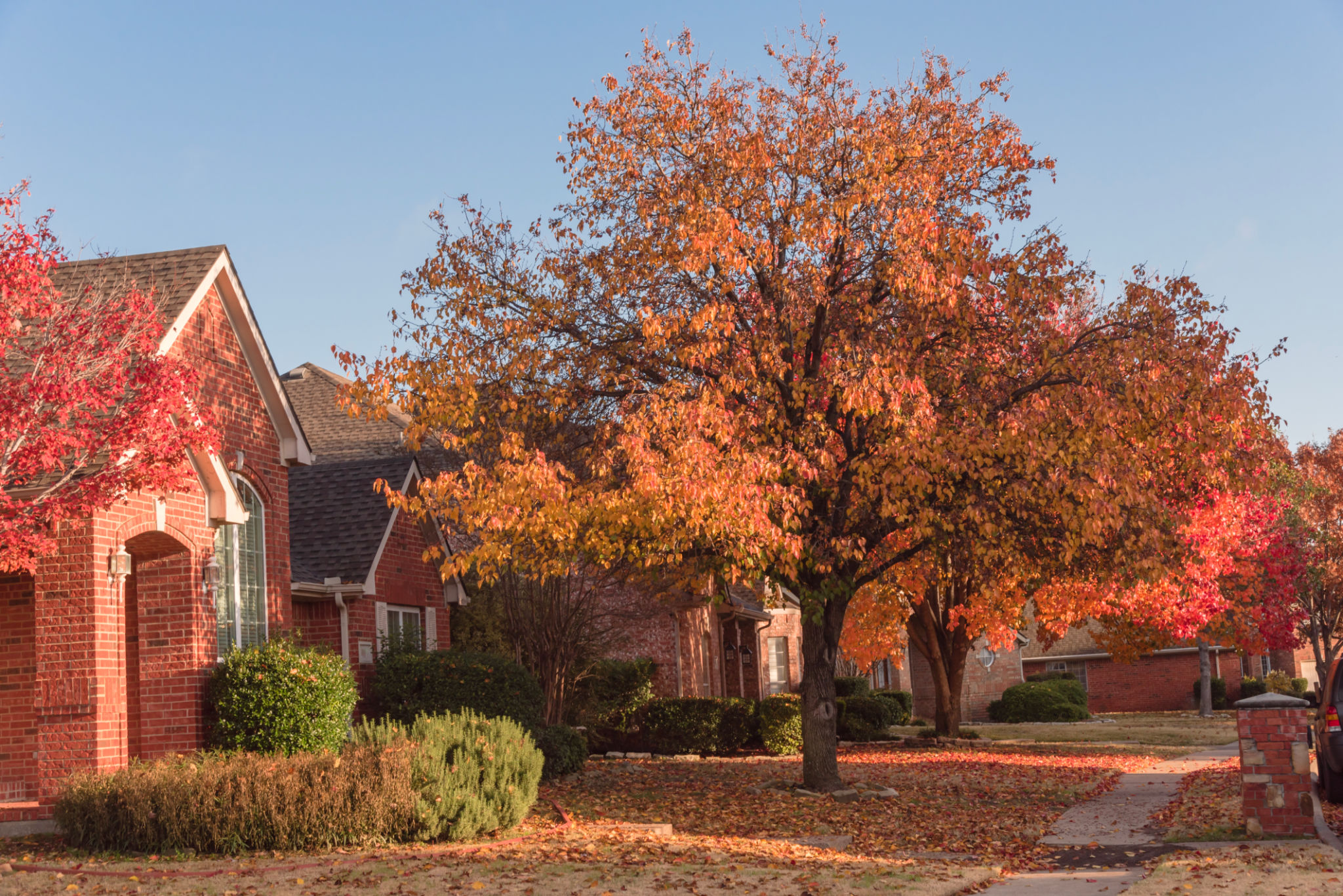 dallas home exterior