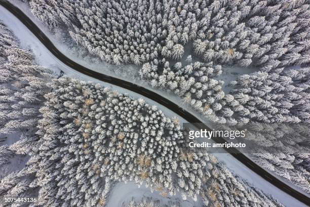 impresionante vista vista aérea hasta la carretera a través de árboles de bosque de nieve de invierno