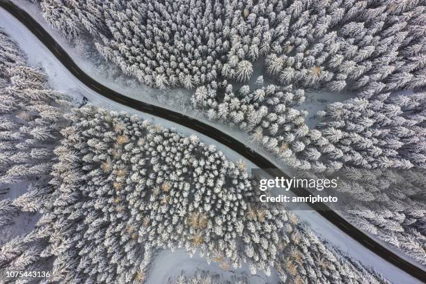 aerial view awesome view down to country road through winter snow forest trees - austria winter stock pictures, royalty-free photos & images