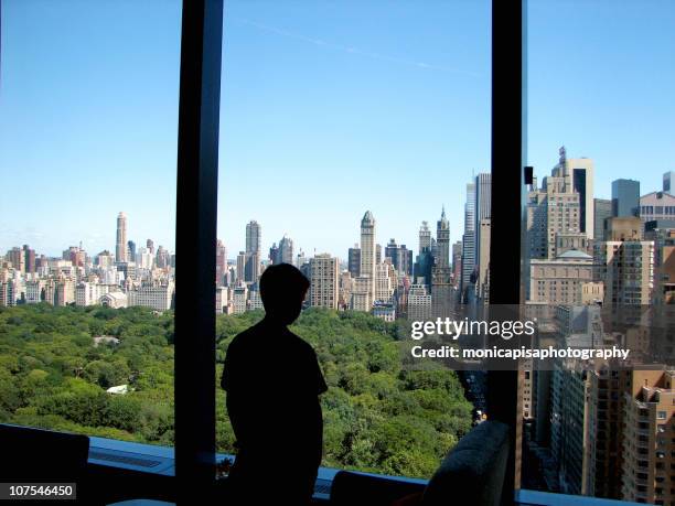 Park Window View Central Park View Window Photos and Premium High Res Pictures - Getty ...