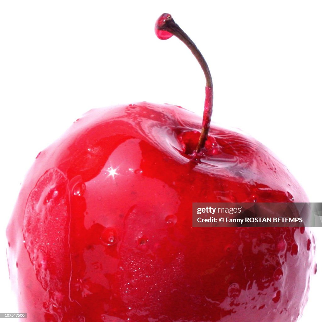 Candy Apple, close up