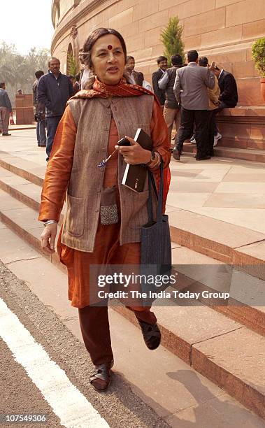 Brinda Karat at Parliament on Friday, December 10, 2010.