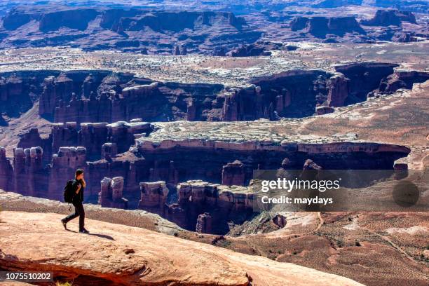 canyonlands national park - island in the sky stock pictures, royalty-free photos & images