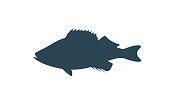 Ocean Perch silhouette. Isolated ocean perch on white background