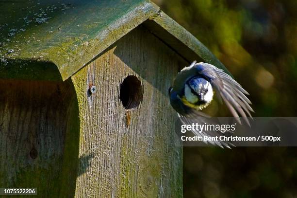 Assens Denmark Photos and Premium High Res Pictures Getty Images