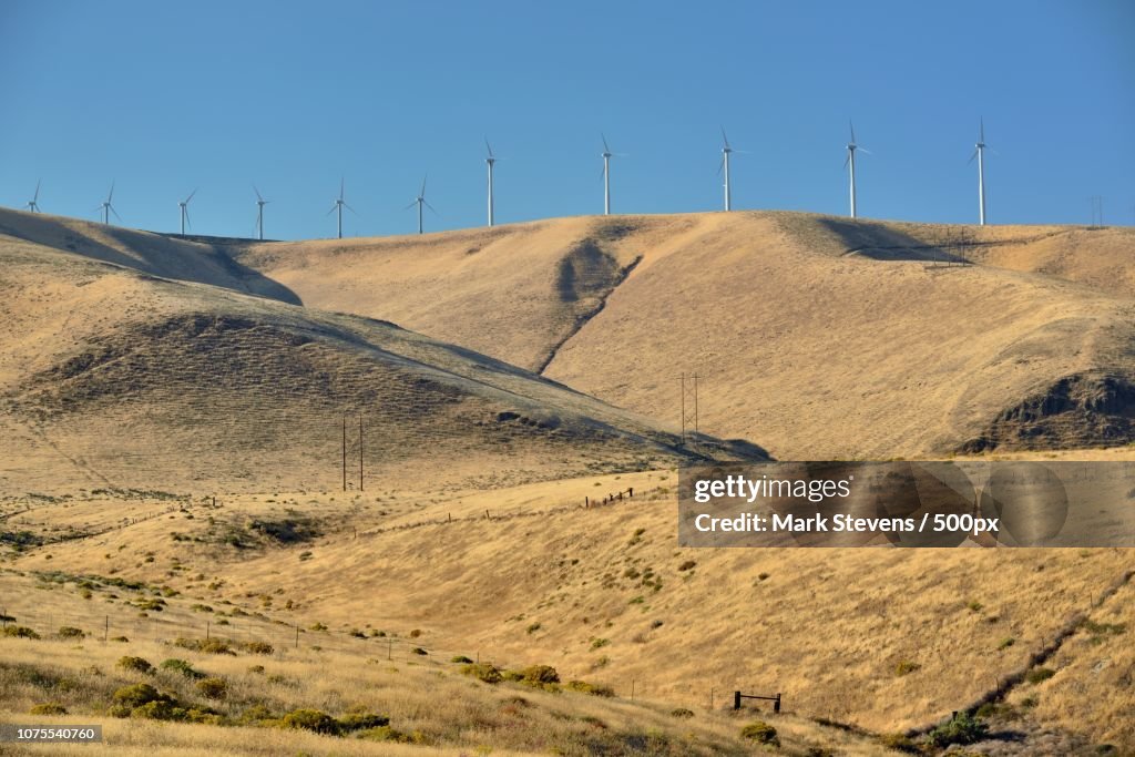 The Folds in a Hillside Around Walla Walla and the Columbia River Valley