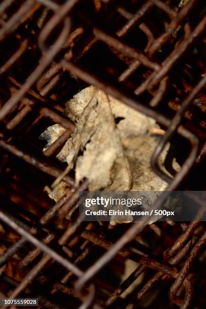 Hidden High-Res Stock Photo