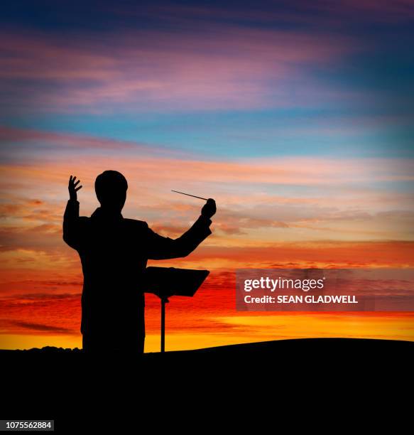 musical conductor open theatre - classical stockfoto's en -beelden