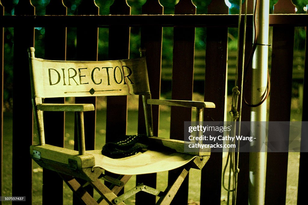 Director Chair