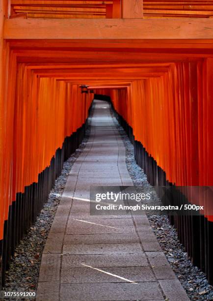 fushimi inari shrine, kyoto - inari shrine stock pictures, royalty-free photos & images