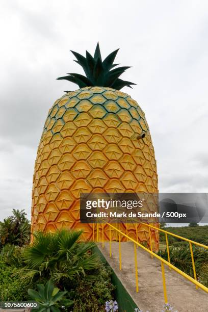 big pineapple bathurst - the big pineapple stockfoto's en -beelden