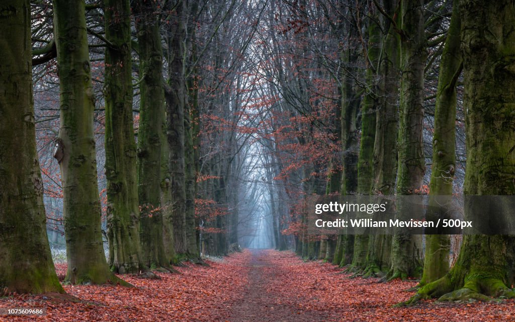Autumn Reminiscing