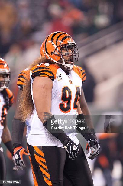 Domata Peko of the Cincinnati Bengals looks on during the game against the New York Jets on November 25, 2010 at the New Meadowlands Stadium in East...