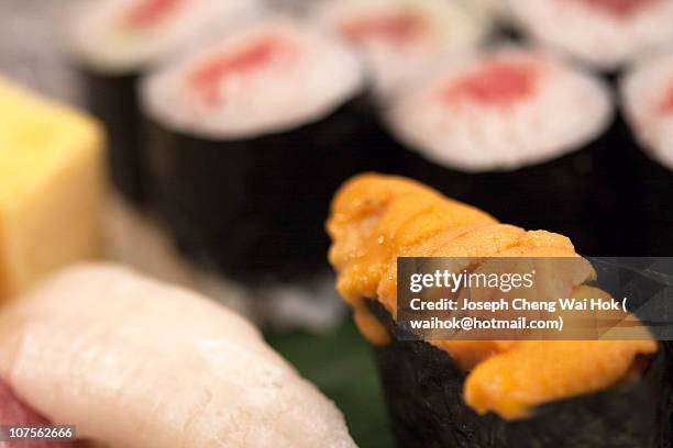 tsukiji market's sea urchin sushi - sea urchin ストックフォトと画像