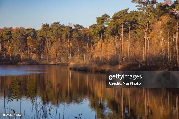 The Oisterwijk forests and fens in North Brabant in the Netherlands is a natural monument of forest and lakes with an extensive network of trekking...